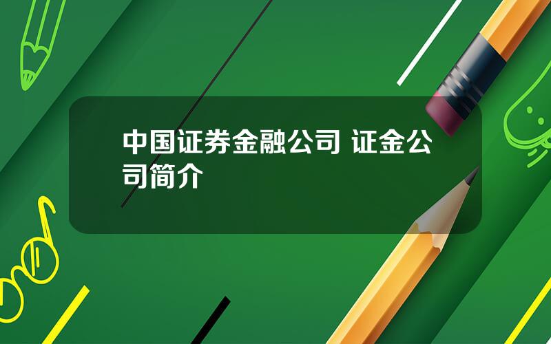 中国证券金融公司 证金公司简介